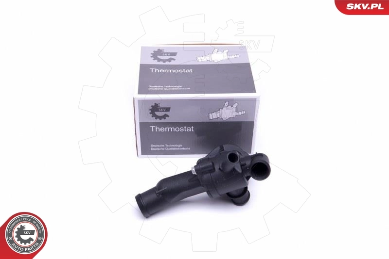 Thermostat, coolant